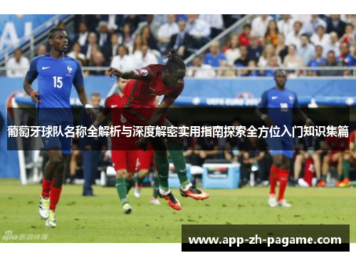 葡萄牙球队名称全解析与深度解密实用指南探索全方位入门知识集篇