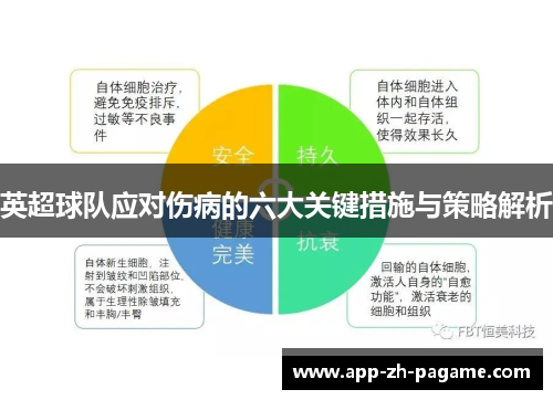英超球队应对伤病的六大关键措施与策略解析