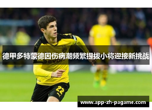 德甲多特蒙德因伤病潮频繁提拔小将迎接新挑战