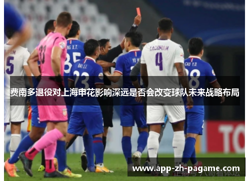 费南多退役对上海申花影响深远是否会改变球队未来战略布局